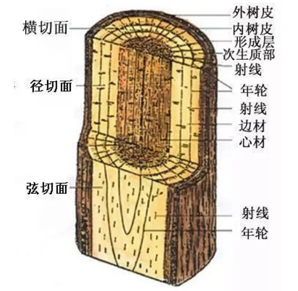 实木家具有色差正常吗！实木家具色差有原因！