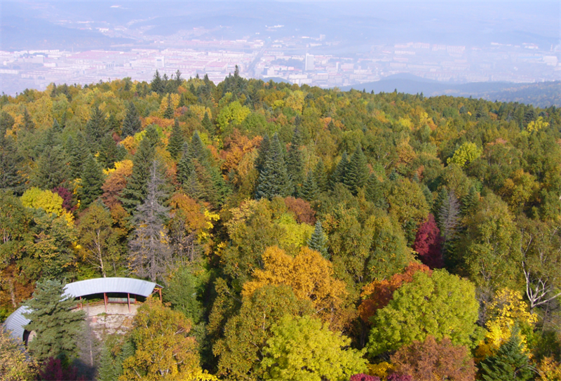 观《青山不墨》共建生态家园